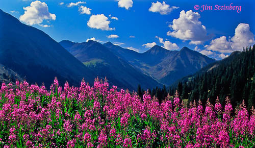 Colors of the Rockies Colors of the Rockies