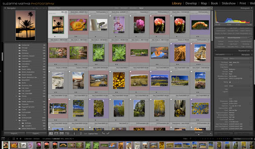 Lightroom 101: The Essentials Lightroom 101: The Essentials