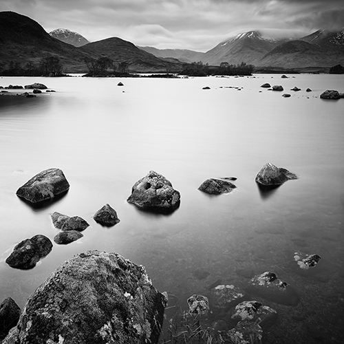 Photo courtesy of ©Steve Gosling. All rights reserved.