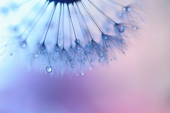 Photographer Spotlight: Sanae Matsuzaki Photographer Spotlight: Sanae Matsuzaki