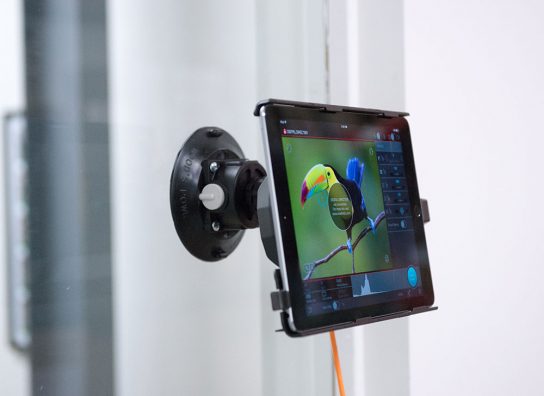 Digital Director Mounting Options Digital Director Mounting Options
