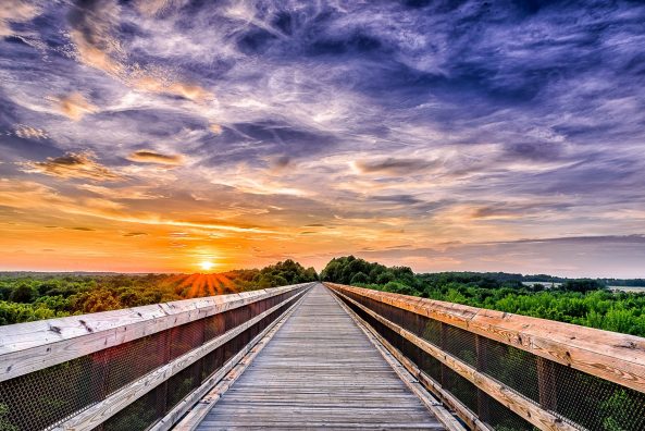 Photographer Spotlight: James Loving Photographer Spotlight: James Loving