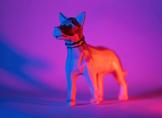 How I Got The Shot: Joyland Toyland Series Macro Photography How I Got The Shot: Joyland Toyland Series Macro Photography