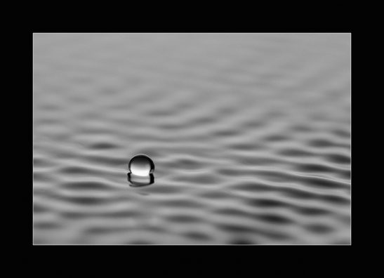 Photographer Spotlight: Fine Art Photographer Monica Royal Photographer Spotlight: Fine Art Photographer Monica Royal